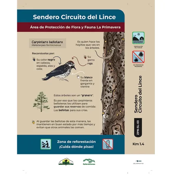 Diseño gráfico y comunicación visual: folleto del sendero Circuito del Lince.