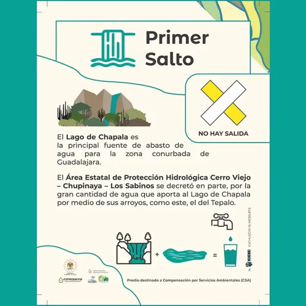 Comunicación visual detallada de "Primer Salto", ejemplo del diseño gráfico realizado por Nenenki.