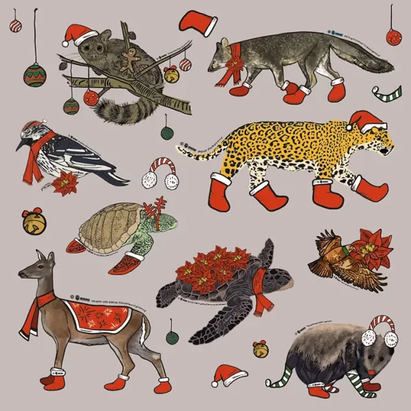 Merchandising creativo con ilustraciones de fauna local, parte de los servicios de diseño gráfico y comunicación visual de Nenenki.