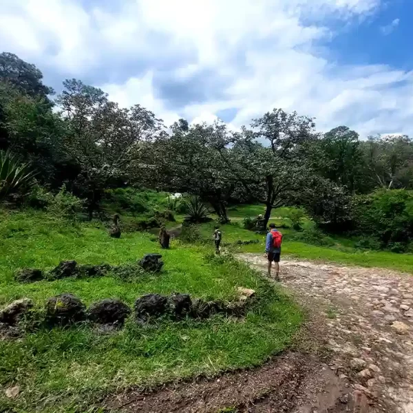 Ruta segura y bien definida, resultado del análisis territorial realizado por Nenenki.