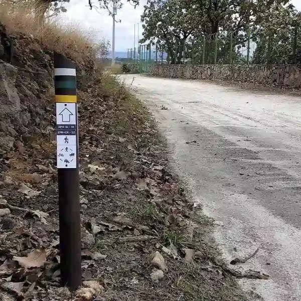 Señalización de sendero en árbol con franjas de colores y flecha en Los Patios-La Soledad.