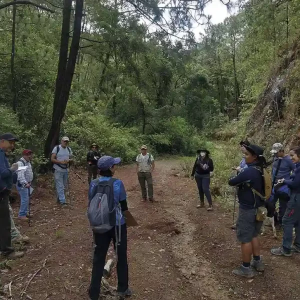 Equipo reunido en zona boscosa durante capacitación de senderos