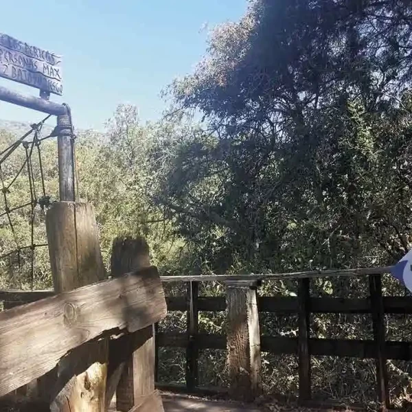 Vista del puente Pericos dentro del Sendero UMA Agua Blanca.