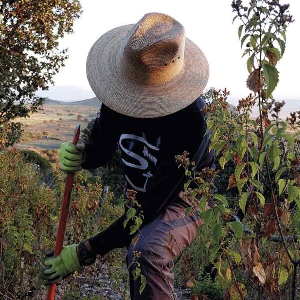Persona trabajando el suelo durante la instalación del sendero UMA Agua Blanca.