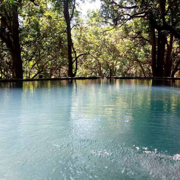 Otra vista en el sistema de senderos homologados de Zapopan.